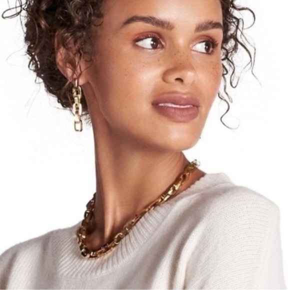 NWT 2 Piece Set Eddie Borgo Supra Chain Link Necklace & Earrings - Picture 2 of 6